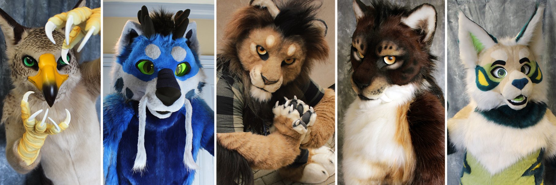 Biglionsden 🦁's banner