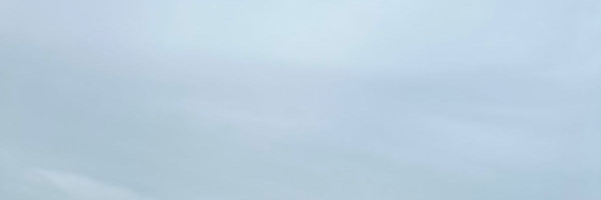 فيفى's banner