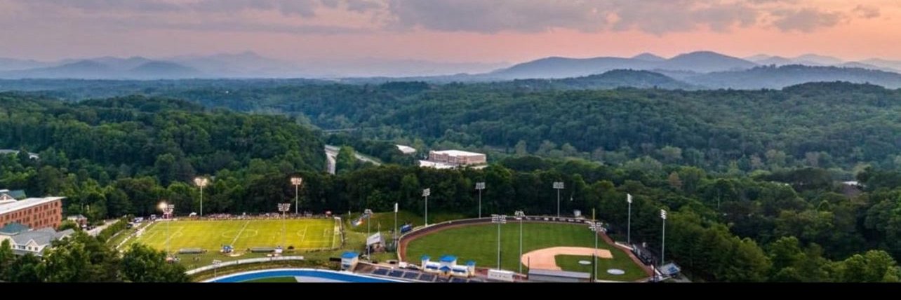 Asheville Baseball's banner