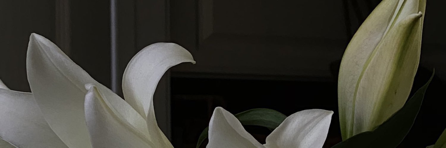 britney's banner