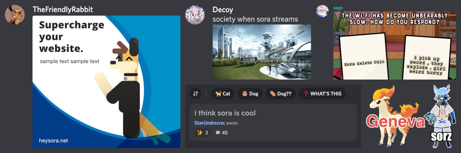 Sora 🐕's banner