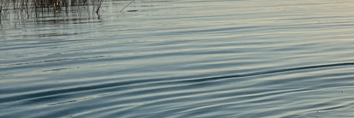 Маría Camila.'s banner