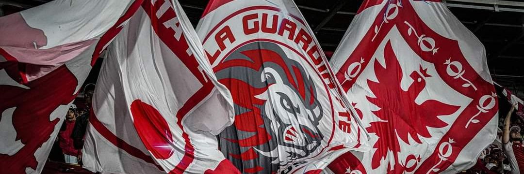 LA GUARDIA ALBI-ROJA SUR's banner