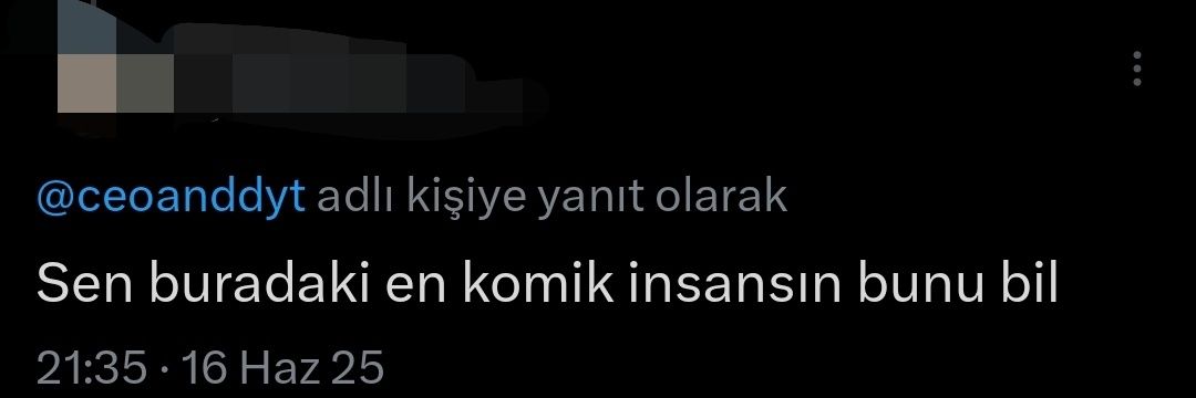 şaşkın ördek yavrusu's banner