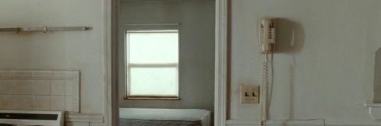 ✿'s banner