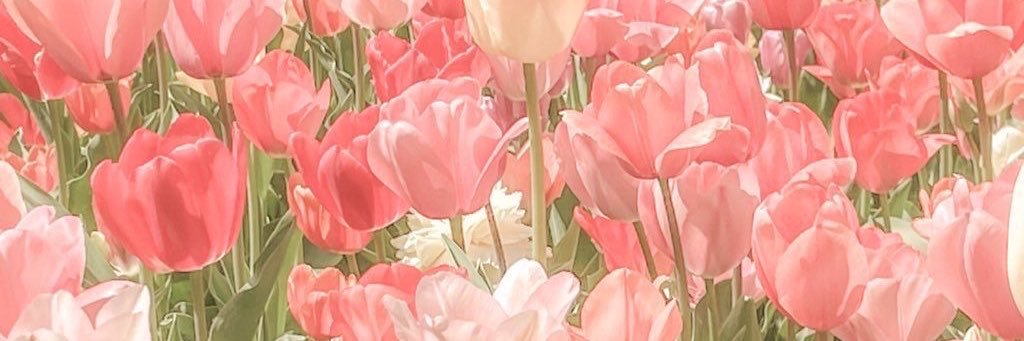 aj's banner