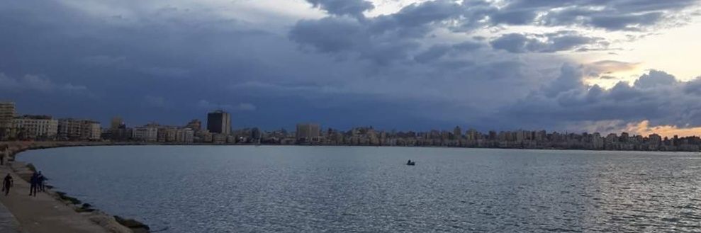 الخال اﻹسكندراني 🔻's banner