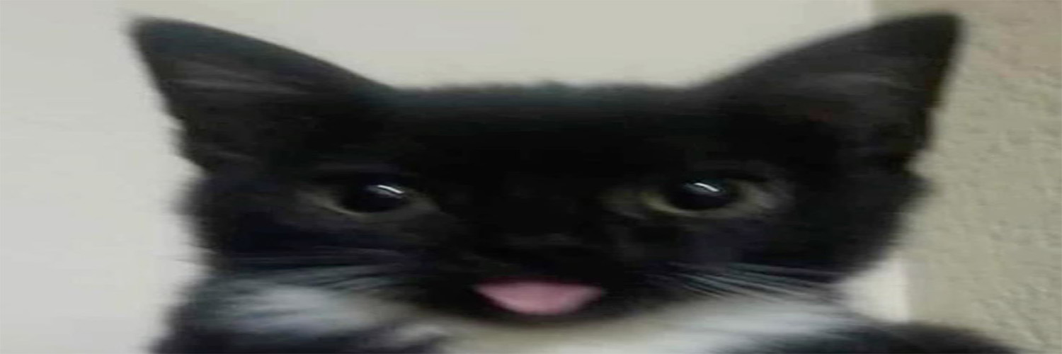 MythyMoo's banner