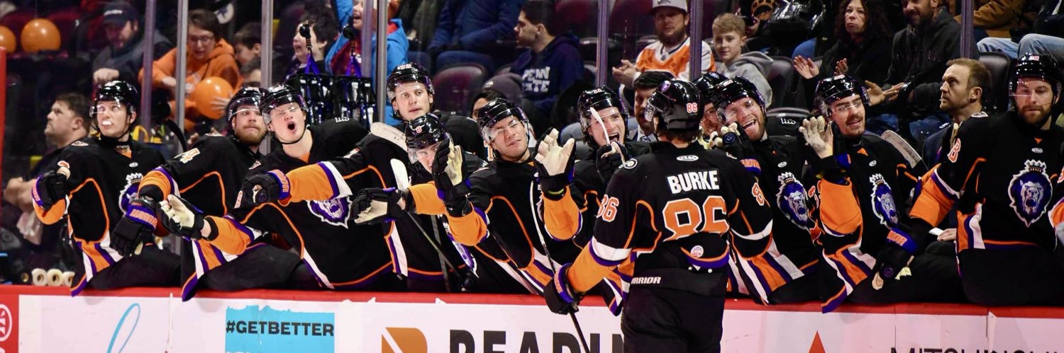 Reading Royals's banner