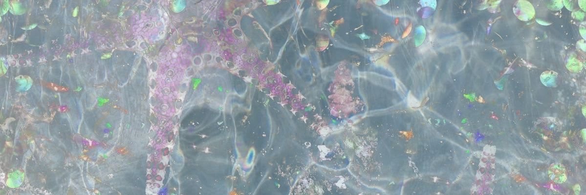MermaidMila💙's banner