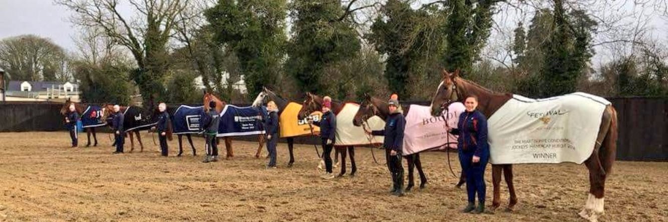 Gordon Elliott's banner