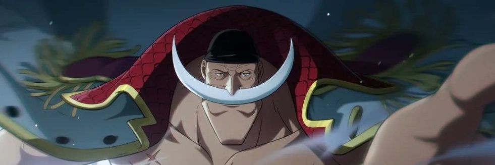 ONE PIECE Ambition's banner
