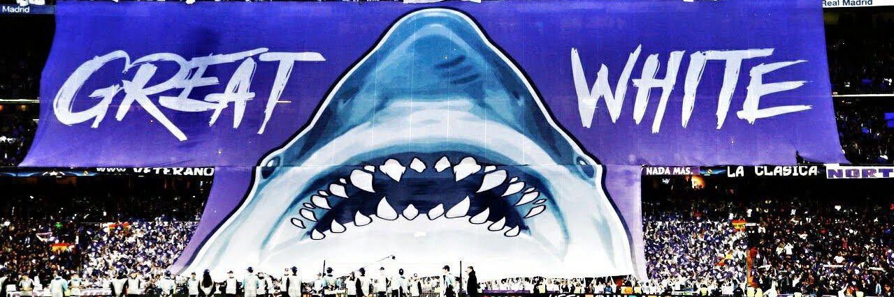 Zavier 🏝's banner