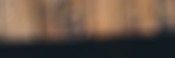 أبو عُثَيم's banner