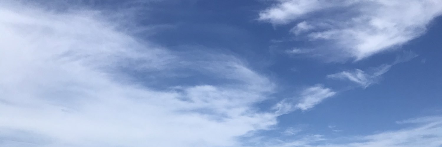 Jeannette Calle's banner