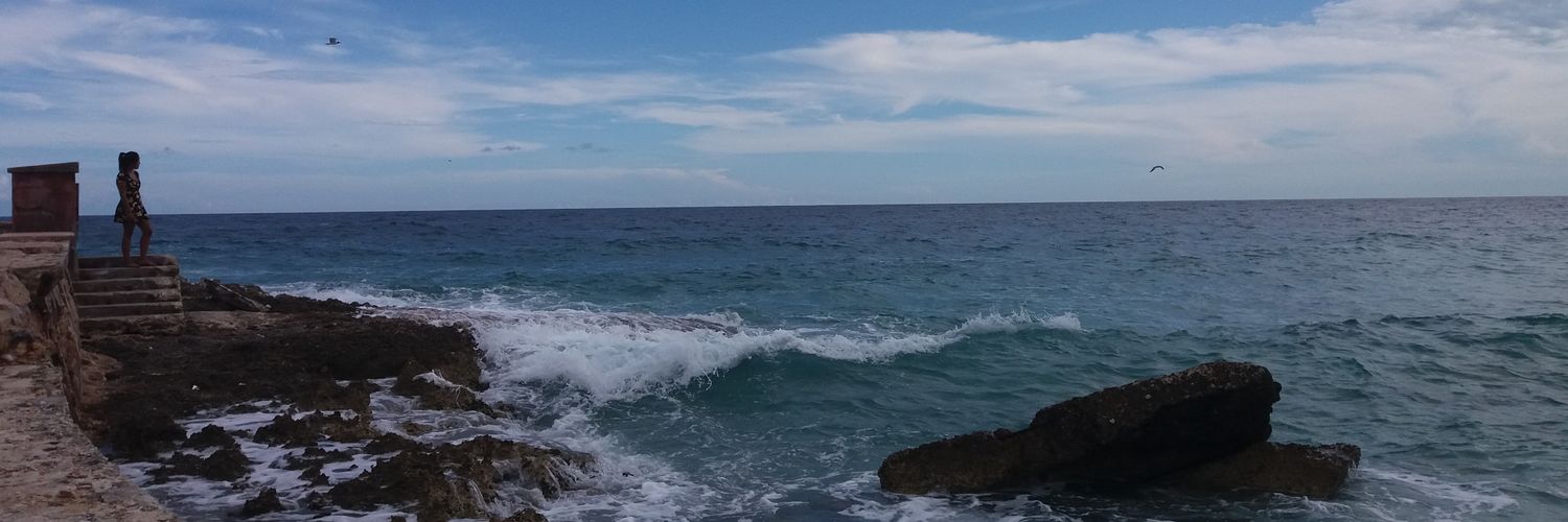 Otro Gato's banner