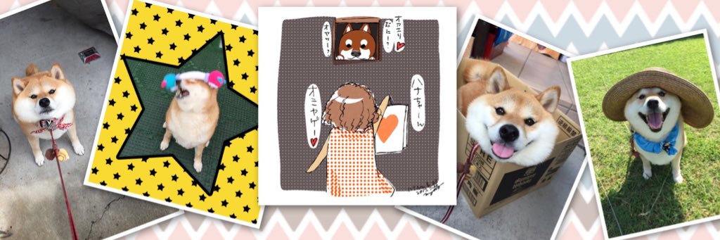 柴犬ハナ's banner