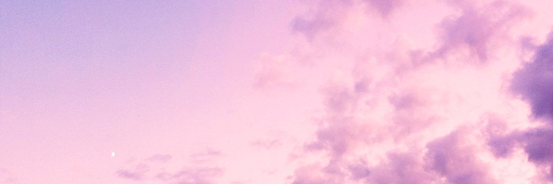 pearl 🦊🕶's banner