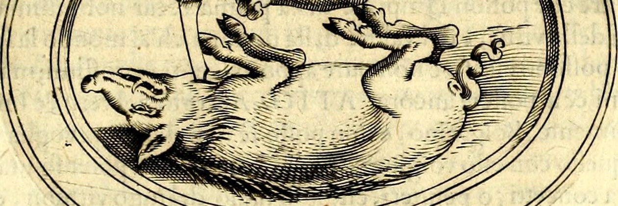 𝕵𝖆𝖓 𝕷𝖔𝖒𝖊𝖓 🗝's banner