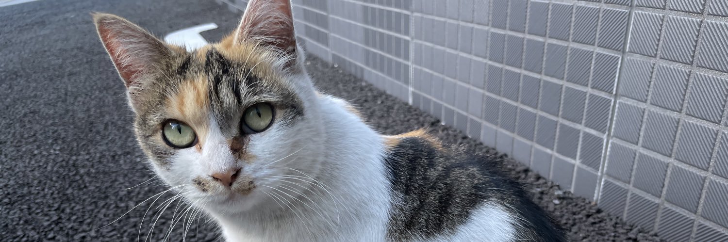 のらねこ's banner