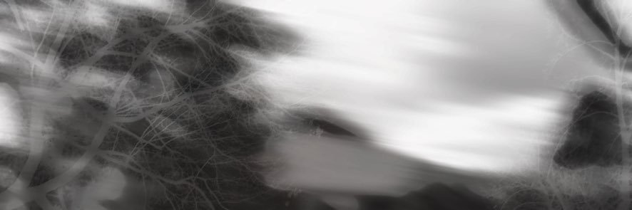 TSwany's banner