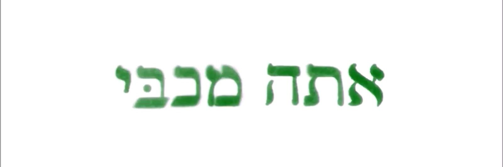 דין דוד של פיד ירוק's banner