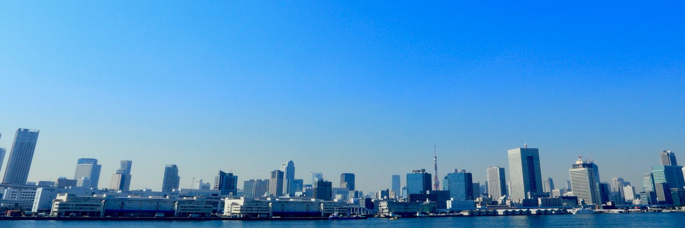 東京電力ホールディングス 株式会社's banner