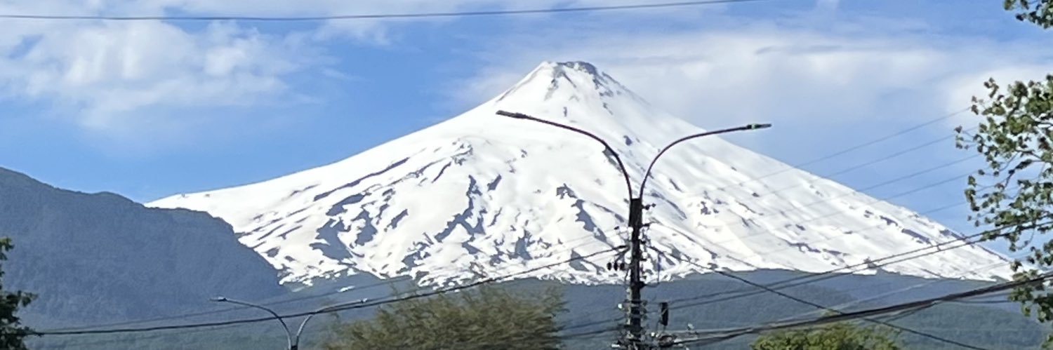 Puconino's banner