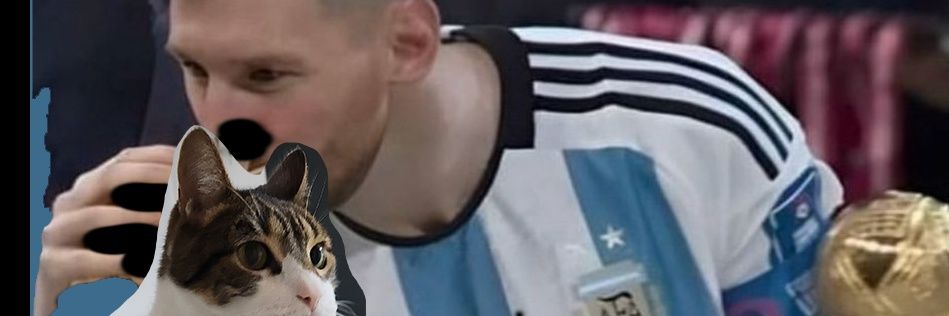 carito🇦🇷⭐⭐⭐'s banner