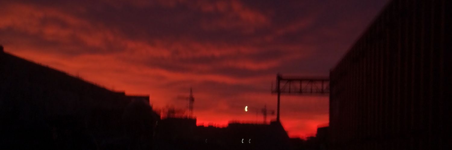 Ігор Маск's banner