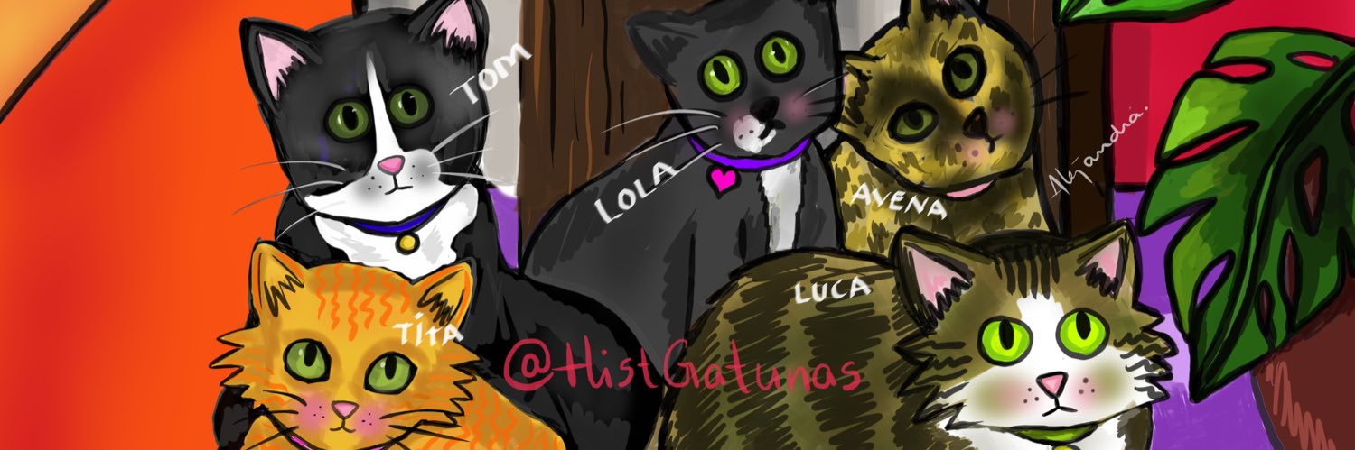 Historias Gatunas's banner
