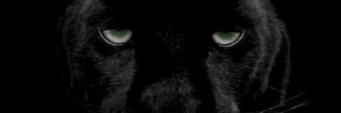 Meshal khalid | مشعل بن خالد's banner