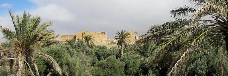 BraSyrian's banner