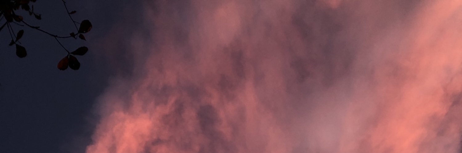 Robi's banner
