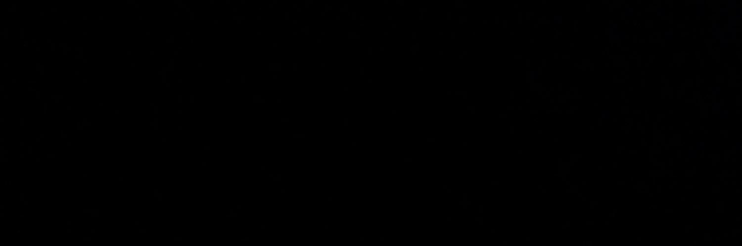 Ashlee Simpson Ross's banner