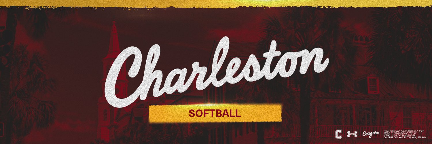 Charleston Softball's banner