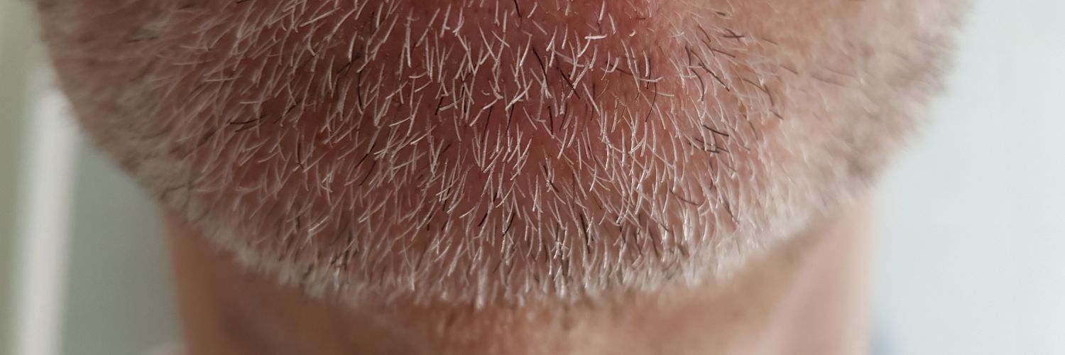 hungmuscledad's banner