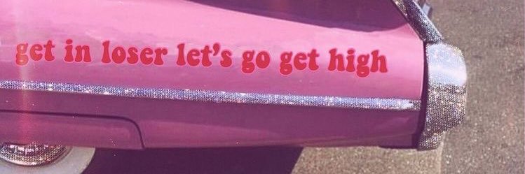 NINZY 🐝's banner