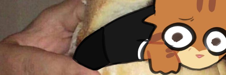 oGarfield's banner