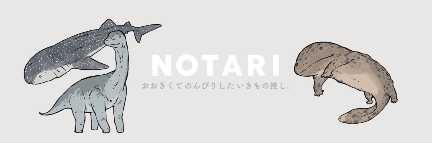NOTARI's banner