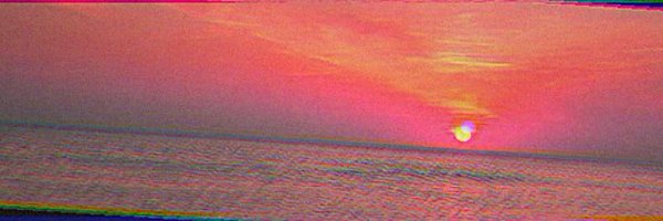 💕나기사's banner