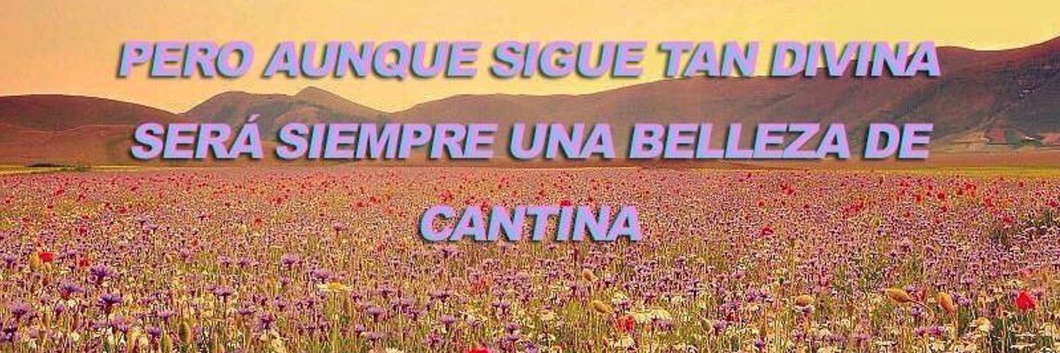 Lalito landa's banner