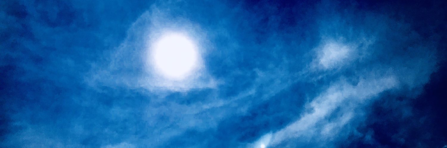 すぎのきとのぎく's banner