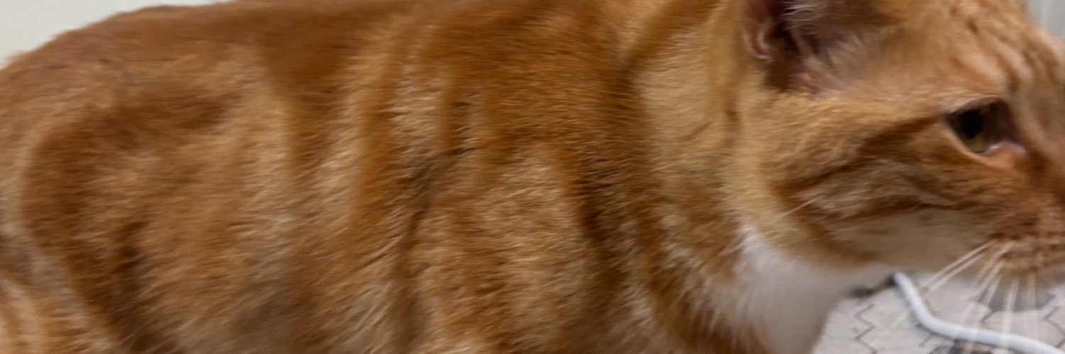 等木人(阿等's banner