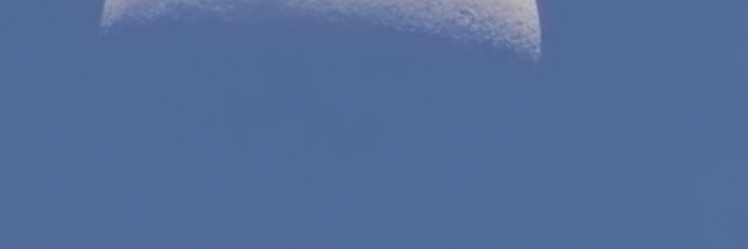 八宝's banner