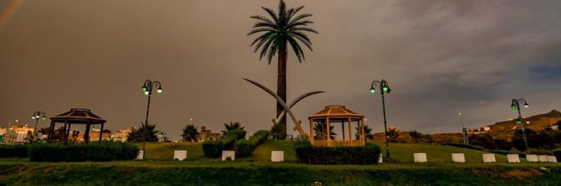 أبو أنس 🇪🇬🤍🇸🇦✈️'s banner