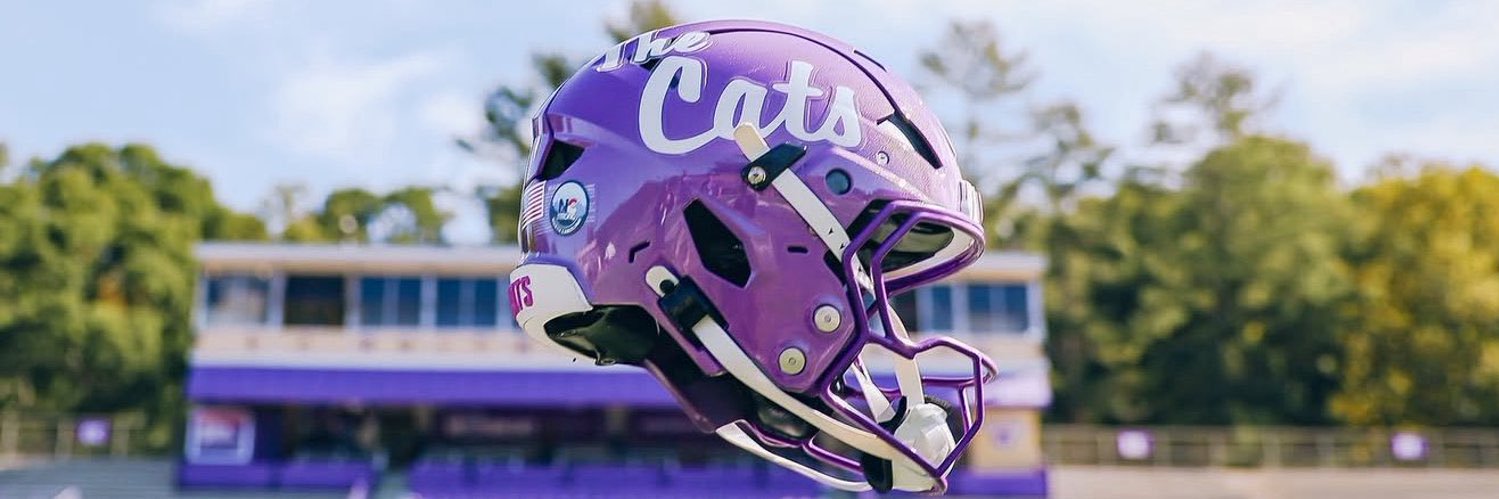 Western Carolina Football's banner