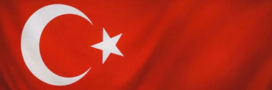 Gökcen Özdoğan Enç's banner