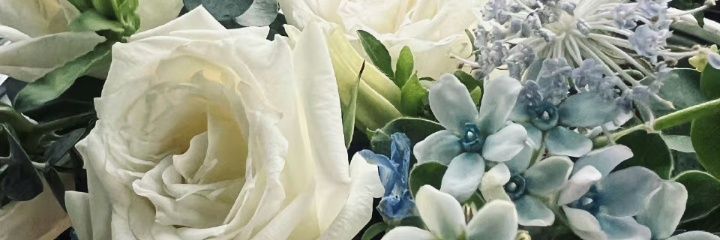 雷峰塔下小妖精's banner