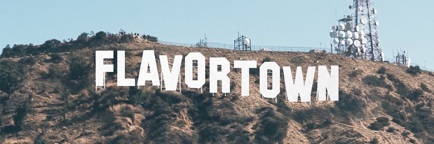 Mayor Guy Fieri's banner